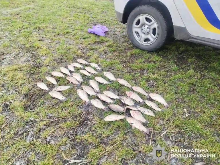 В Узині розслідують незаконний вилов риби на понад 91 тис. грн